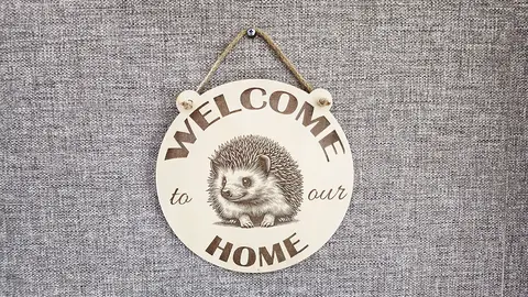 Welcome to our Home Cute Hedgehog Decorative Sign
