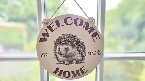 Welcome to our Home Cute Hedgehog Decorative Sign