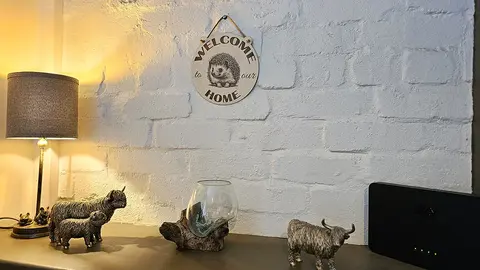 Welcome to our Home Cute Hedgehog Decorative Sign