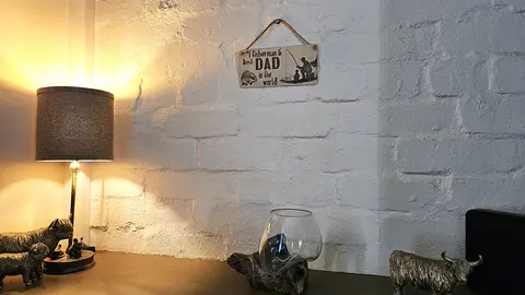 Best Dad in the World with Child Fishing Decorative Sign