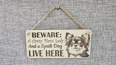 Crazy Plant and Dog Lady Chihuahua Decorative Signs and Plaques