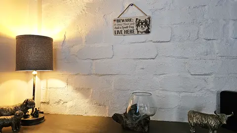 Crazy Plant and Dog Lady Chihuahua Decorative Signs and Plaques