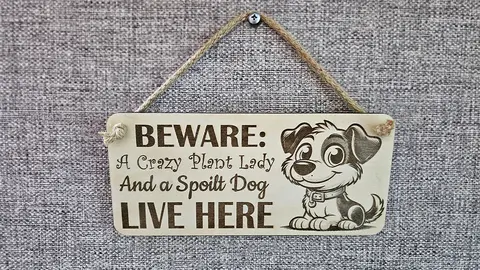 Crazy Plant and Dog Lady Cartoon Decorative Signs and Plaques