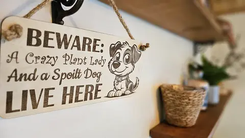 Crazy Plant and Dog Lady Cartoon Decorative Signs and Plaques