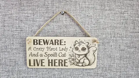 Crazy Plant and Cat Lady Cartoon Decorative Signs and Plaques