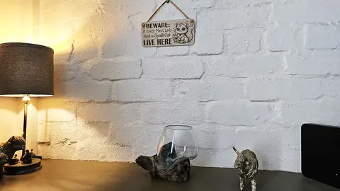 Crazy Plant and Cat Lady Cartoon Decorative Signs and Plaques