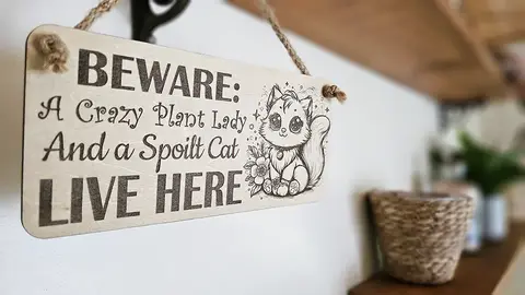 Crazy Plant and Cat Lady Cartoon Decorative Signs and Plaques