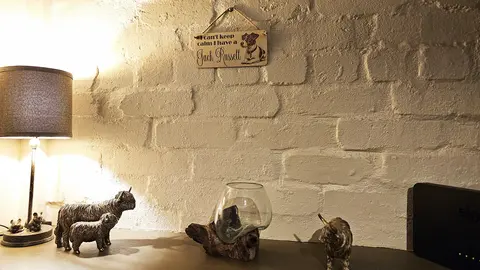 Jack Russell Decorative Sign | Plaque | Gift Ideas