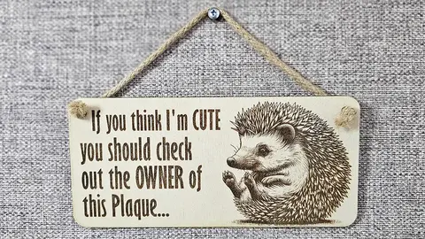 Funny Cute Quote Decorative Hedgehog Sign | Plaque | Wall or Desk Mounted
