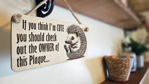 Funny Cute Quote Decorative Hedgehog Sign | Plaque | Wall or Desk Mounted