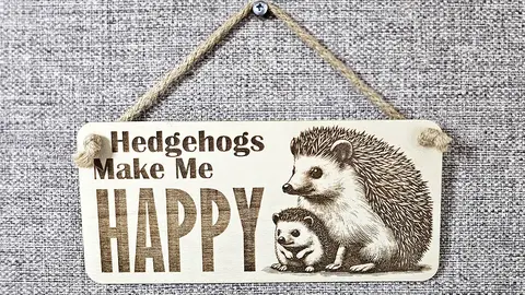 Hedgehogs Make Me HAPPY Mum and Baby Decorative Sign | Plaque | Wall or Desk Mount