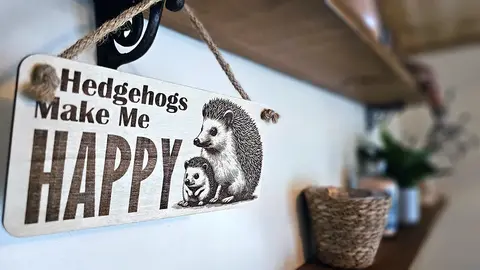 Hedgehogs Make Me HAPPY Mum and Baby Decorative Sign | Plaque | Wall or Desk Mount
