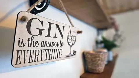 Gin Decorative Sign | Plaque The Answer to Everything