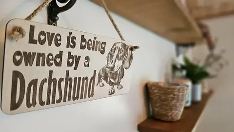 Dachshund Sign | Plaque | Personalised Option | Gifts