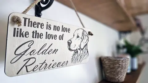 Golden Retriever Decorative Sign | Plaque