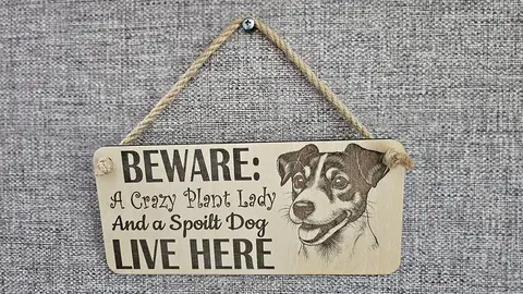 Crazy Plant and Dog Lady Jack Russell Decorative Signs and Plaques