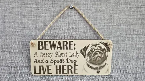 Crazy Plant and Dog Lady Pug Decorative Signs and Plaques