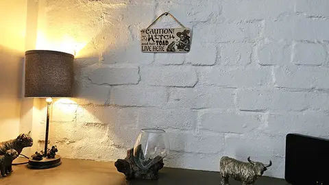 Caution An Old Witch And Her Toad Live Here Decorative Sign | Plaque