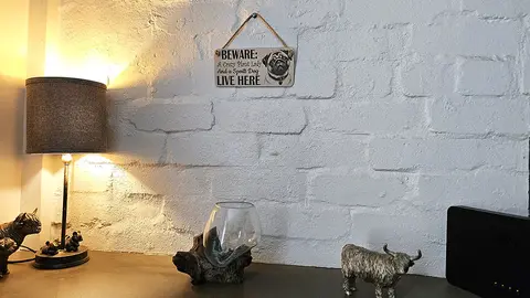 Crazy Plant and Dog Lady Pug Decorative Signs and Plaques