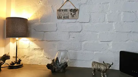 Crazy Plant and Dog Lady Jack Russell Decorative Signs and Plaques