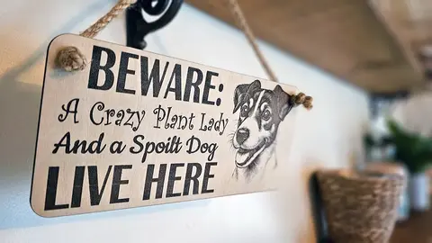 Crazy Plant and Dog Lady Jack Russell Decorative Signs and Plaques