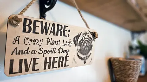Crazy Plant and Dog Lady Pug Decorative Signs and Plaques