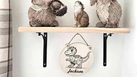 Young Dinosaur Childrens Bedroom Name Sign | Personalised Gift For Your Baby Toddler