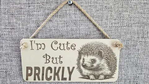 Cute Hedgehog Decorative Sign | Plaque | Wall or Desk Mount With Humorous Quote