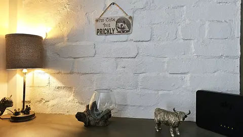 Cute Hedgehog Decorative Sign | Plaque | Wall or Desk Mount With Humorous Quote