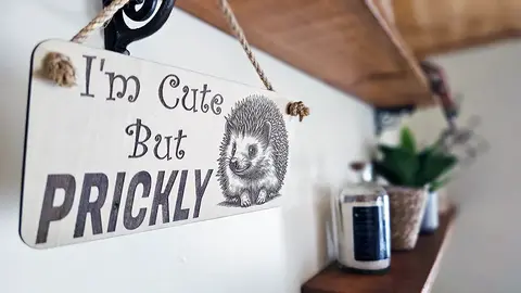 Cute Hedgehog Decorative Sign | Plaque | Wall or Desk Mount With Humorous Quote