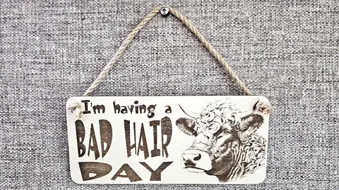 Bad Hair Day funny wall sign with highland cow messy hair image