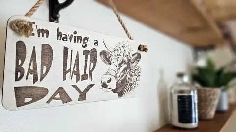 Bad Hair Day funny wall sign with highland cow messy hair image