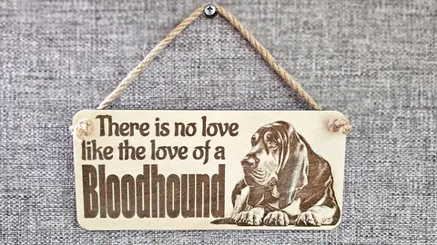 Bloodhound Sign Decorative Plaque | Desk or Wall Mounted | Personalise Option