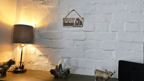 Bloodhound Sign Decorative Plaque | Desk or Wall Mounted | Personalise Option