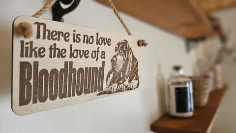 Bloodhound Sign Decorative Plaque | Desk or Wall Mounted | Personalise Option