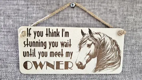 Beautiful Horse Decorative Sign | Plaque | With Cute Funny Saying