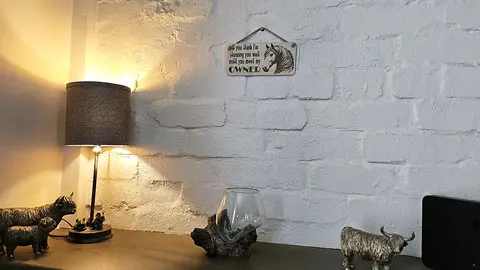 Beautiful Horse Decorative Sign | Plaque | With Cute Funny Saying