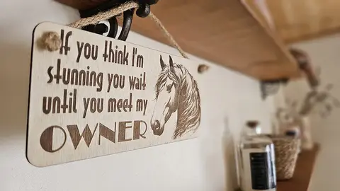 Beautiful Horse Decorative Sign | Plaque | With Cute Funny Saying