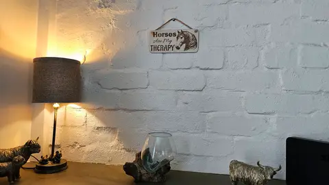 Horses Are My Therapy Decorative Sign | Plaque | With Cute Funny Saying