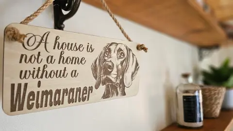 Weimaraner Decorative Sign | Wooden Hanging Wall Plaque | A House Is Not A Home Without A Weimaraner