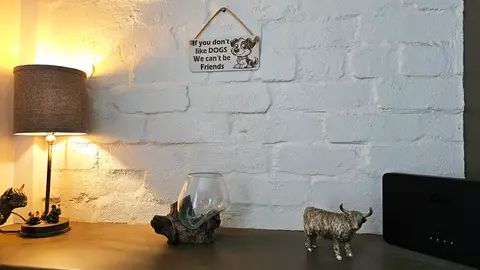 Funny Dog Signs and Plaques | If You Don't Like Dogs We Can't Be Friends