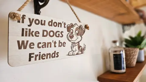 Funny Dog Signs and Plaques | If You Don't Like Dogs We Can't Be Friends