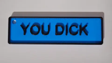 YOU DICK Funny Adult Rude Explicit Insulting Keyring NSFW