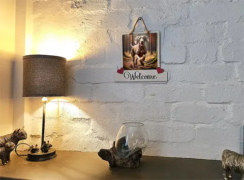 Weimaraner Welcome Sign Modern Design With Colourful Picture