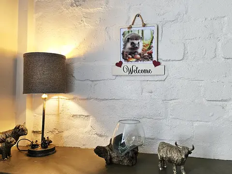 Hedgehog Welcome Sign Modern Design With Colourful Picture