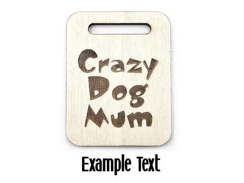 Personalised Hedgehog Wooden Keyring with Split Ring and Clip