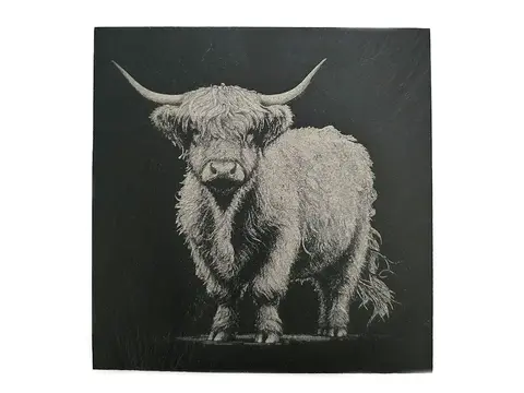 Highland Cow Square Slate Coaster Gift Ideas