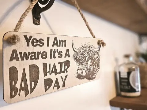 Bad Hair Day funny wall sign with highland cow image