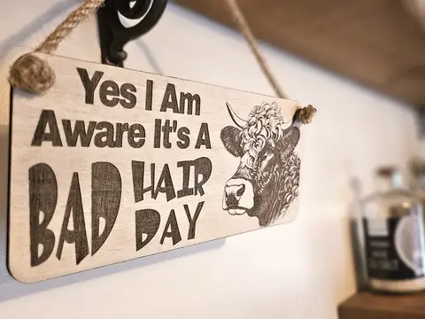 Bad Hair Day Funny Highland Cow Coo Plaque