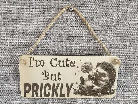 Hedgehog Plaque Decorative Sign With Funny Quote